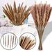 Menrkoo Home Decorations 30Pc Dried Decoration Dried Flowers Vases Bouquet Boho Decoration Branches Multicolor