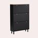 Latitude Run® 24 Pair Shoe Storage Cabinet Manufactured Wood in Black | 47.6 H x 31.5 W x 9.4 D in | Wayfair 2698BACCACCB4DBC8CE1F060D19E8A86