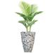 Vintage Home Panama 57" Artificial Palm Tree in Planter Plastic/Fiberstone | Wayfair VHX153233