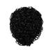 Women Short Curly Wig Daily Wig Fun Short Black Wig Hairpiece for Bar Performance Carnival Masquerade Dress Up