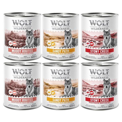 6 x 800 g Senior Mixpaket Wolf of Wilderness getreidefreies Hundefutter nass