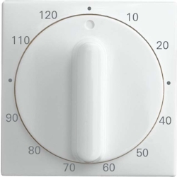 Busch-Jaeger Zentralscheibe alpinweiß 1771-914-103 2CKA001753A0306 Image