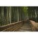 Stone Pathway in Bamboo Forest - Arashiyama Kyoto Japan Poster Print - 19 x 12 in.