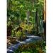 Nature Trail in Charlestown on Nevis West Indies Poster Print by Joe Restuccia III - 18 x 25 in.