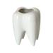 Ceramic Pen Holder Tooth Shaped Pen Holder for Desk Cute Pencil Holder White Desk Accessories Desk Organizers for Office School Homeï¼ŒPack of 1