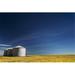 Large Metal Grain Bins in a Barley Field with Blue Sky & Wispy Clouds - Acme Alberta Canada Poster Print by Michael Interisano - 38 x 24 - Large