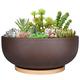 SQOWL 25cm Large Terracotta Planter Pot,Clay Succulent Bonsai Planter with Drainage Hole and Bamboo Saucer for Indoor Plants