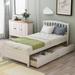 Twin Size Platform Bed with 2 Storage Drawers, Wood Platform Bed with Balustrade Headboard and Wood Slats