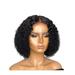 PRINxy Short Roll Curly Hair Middle Score Wig Fashion Natural Wig High Temperature Wire 13.77in Short Wig For Women Daily LifeParties Festivals Black B