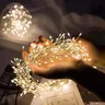 Ghirlanda di filo di rame a batteria ghirlanda di luci 100/200led fiaba Cluster petardi String Light