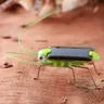 Solar grasshopper Educational Solar Powered Grasshopper Robot Giocattolo richiesto Gadget Regalo