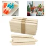 Bastoncini artigianali in legno bastoncini per gelato bastoncini bastoncini per ghiaccioli ideali