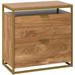 Pemberly Row Engineered Wood File Cabinet in Sindoori Mango/Brown