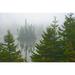 Canada-Ontario-Lake Superior Provincial Park. Fog on island in Fenton Lake. Poster Print - Gallery Jaynes (24 x 18)