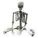 Halloween Skeleton Prop Deco Halloween Skeleton Life Size Full Body Posable Joints Skeletons Human Full Size Hand Life Body Anatomy Model Halloween Decorations Outdoor