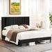 Everly Quinn Lannetta Queen Standard Bed Upholstered/Metal in Black | 43.3 H x 62 W x 85 D in | Wayfair 1FCE3832A7F44B7DBBF0DDC07591980B