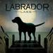 Wild Apple Graphics Moonrise Black Dog - Labrador Lake Poster Print by Ryan Fowler - 24 x 24 - Large