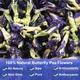 100% Pure Natural Thailand Blue Butterfly Pea Flower Tea Clitoria Ternatea for Baking Coloring