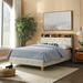 Full Size Bed Frame Upholstered Platform Bed with Outlet & USB Ports, Wooden Platform Bed with Headboard and Shelf, Beige
