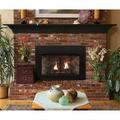 Direct-Vent Clean Face Fireplace Insert with Blower