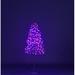 The Holiday Aisle® Starburst LED Lighted Trees & Branches in Orange/Indigo | 48 H x 24 W x 24 D in | Wayfair 0B2EBBAD7CDD4FDC8BB2F2AB727E29C0