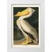 Audubon John James 11x14 White Modern Wood Framed Museum Art Print Titled - Pl 311 American White Pelican