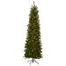 Andover Mills™ Green Artificial Christmas Tree w/ Clear/White Lights | 7' | Wayfair D08D3020532A42E2A744459648DA5DF0