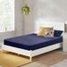 Twin XL Medium Firm 6" Mattress - Alwyn Home Capavella | 74 H x 36 W 6 D in Wayfair 46C1389BECEF4CEA849A4C87CCE818FF