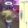 LED Grow Light Full Spectrum Phyto Grow Lamp USB Phytolamp For Plants 5V Lamp For Plants Growth