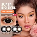 DIA 16.0 mm Big Eyes Color Contact Lenses Supersize Black Color Contact Lens for Eyes Beauty