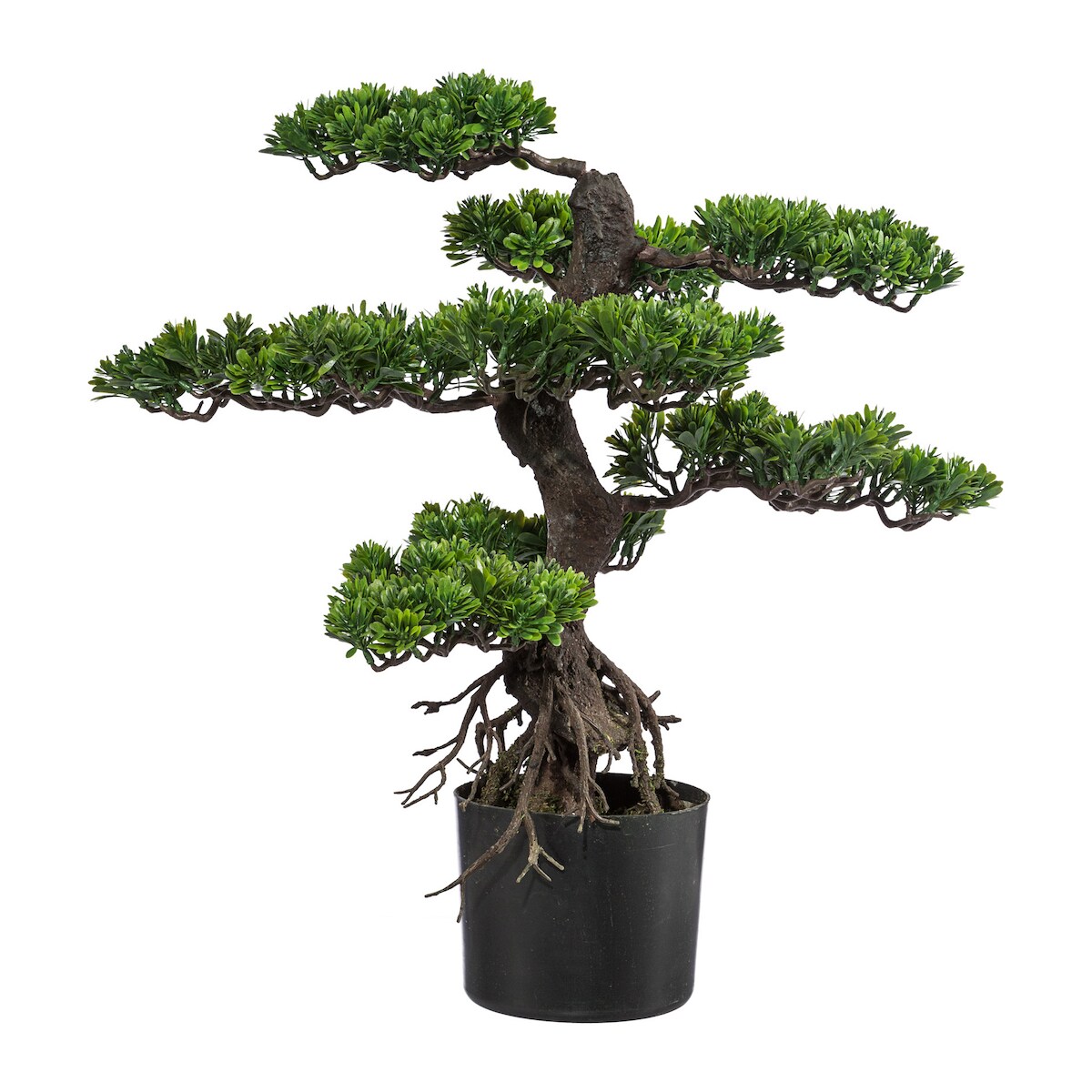 CREATIV green künstliche Pflanze Bonsai, ca 65cm, grün, Kunststoff, im Topf 14x12cm schwarz Image