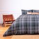 LERUUM Plaid Flannelette Double Duvet Bed Set Brushed Cotton Bedding Check Green & Black Color Quilt Bed Set (Green White Check Double)