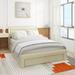Latitude Run® Queen Platform Bed Upholstered in Brown | 41.3 H x 62.2 W x 85.6 D in | Wayfair BB670D14699E436BB9F13BECF5AD19EE