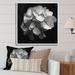 Latitude Run® Gray White Hydrangea Bloom I On Canvas Print Canvas, Cotton | 16 H x 16 W x 1.5 D in | Wayfair 9E3FB3EB085E4703B134E2DB4E700C57