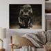 Bungalow Rose Black White Panther Shadows Grace Charcoal On Wood Print Metal in Brown | 24 H x 32 W x 0.78 D in | Wayfair