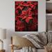 Latitude Run® Poinsettias Festive Poinsettias On Wood Print Metal in Brown | 40 H x 30 W x 0.78 D in | Wayfair 92D844CFF37347B59559E7F6287BB2FF