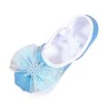 Toddler Shoes Dance Shoes Warm Dance Ballet Performance Indoor Shoes Yoga Dance Shoes Toddler Sneakers Blue 2.5 Years-3 Years