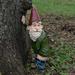 Garden Gnome Humor Garden Statue Polyresin garden gnome statue for indoor or outdoor decoration