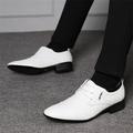 LYCAQL Men Shoes Fashion Summer And Autumn Men Leather Shoes Low Heel Pointed Toe Lace Solid Color Business Men Tennis Shoes Leather (White 12)