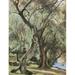 Kanoldt Edmund - Olive grove near Torbole - Laminated Poster Print -12 Inch by 18 Inch with Bright Colors and Vivid Imagery