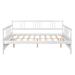 Red Barrel Studio® Full Size Daybed w/ Trundle Plastic in Gray/White | 34 H x 57 W x 78.6 D in | Wayfair 6B33F43095024C7E9C3A5656B4E0839A