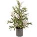 2' Potted White Berry and Frosted Pine Christmas Tree Unlit