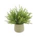 Primrue 14" Faux Astilbe Plant in Fiberstone Pot Fiberstone/Polysilk in Gray | 14 H x 16 W x 16 D in | Wayfair 1953865D92514ACCACF35CBEC7FF159C