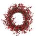 20" Decorative Shiny Red Berry Artificial Christmas Wreath with Brown Twig Accents - Unlit