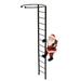 With Black Ladder Amaryllis Plant Stake Decorative Festive Christmas Decorations Holiday Decor 1-Pack 16â€�H