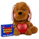 Talking Products, Personalised Talking Teddy Bear Kit. 16 inch Plush Cuddly Toy Animal with a 2 Minute Voice Recorder Included. (Gingerbread Pup)
