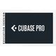 Steinberg Cubase Pro 13 EDU