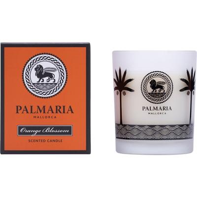 Palmaria Mallorca - Orange Blossom Duftkerze Kerzen 130 g