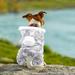 Pet Dog Costume 1pc Pet Dog Costume Autumn Pet Outfit Decorative Pet Costume Dog Clothes with Hat