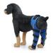 Zjrui Dog Knee Brace Adjustable Dog Double Rear Leg Brace with Reflective Seat Belts Support-Blue